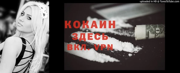 мдпв Навашино