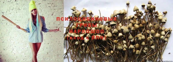МДМА Щигры