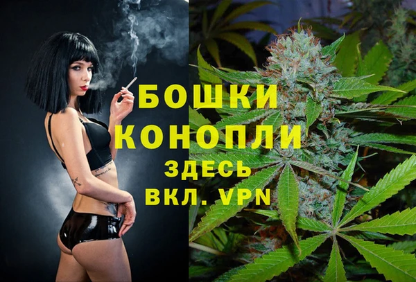 мдпв Навашино