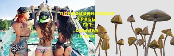 кристаллы Наволоки