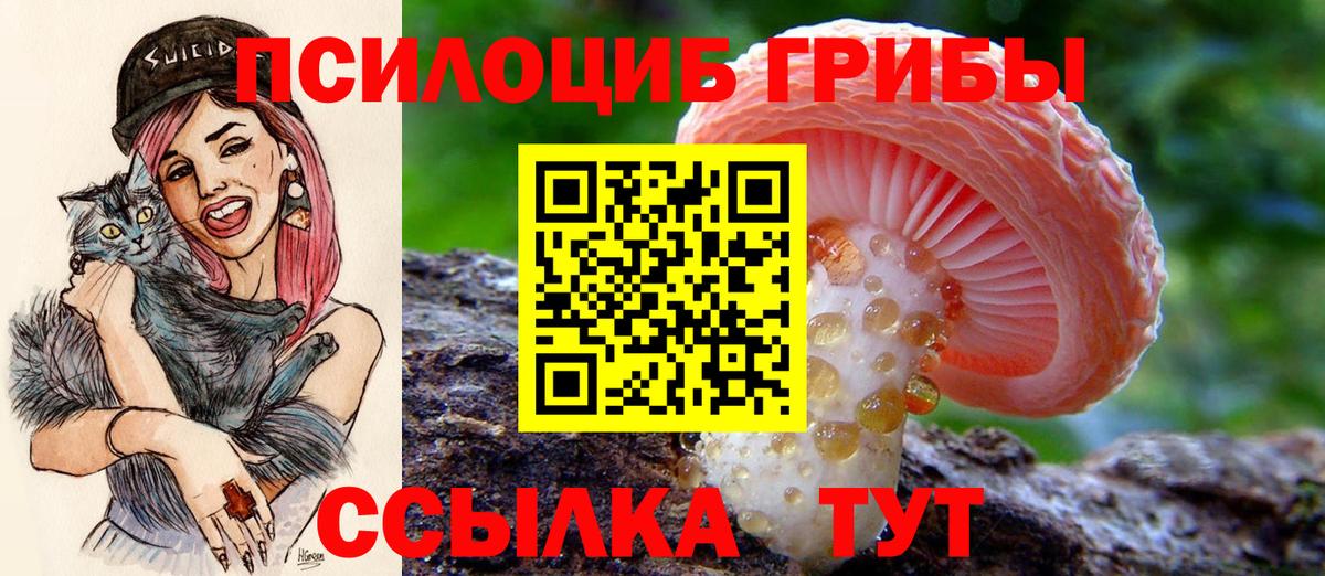 Галлюциногенные грибы Cubensis  Вход с VPN  Полевской  Псилоцибиновые грибы Psilocybine cubensis 