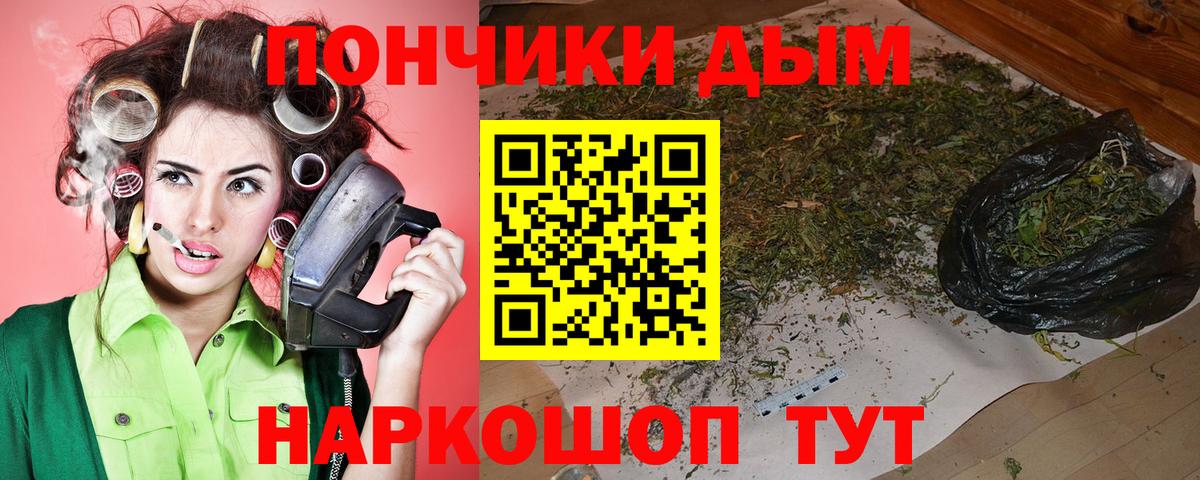 Бошки Шишки марихуана Полевской